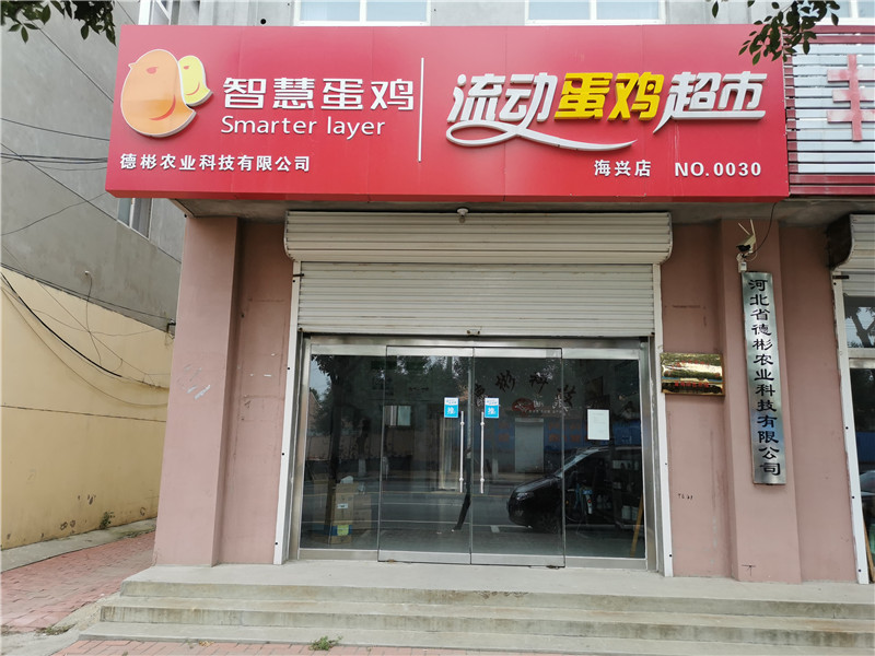 案例展示